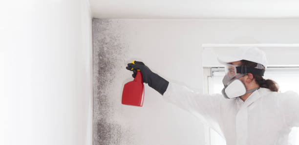 Best Crawl Space Mold Removal  in Cedar Lake, IN